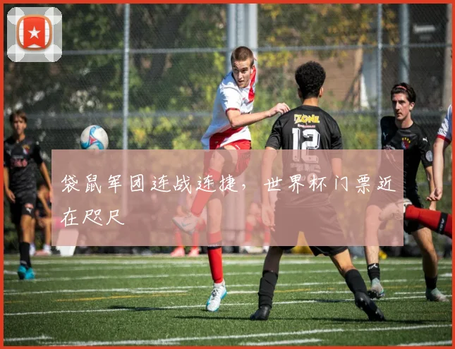 袋鼠军团连战连捷,世界杯门票近在咫尺