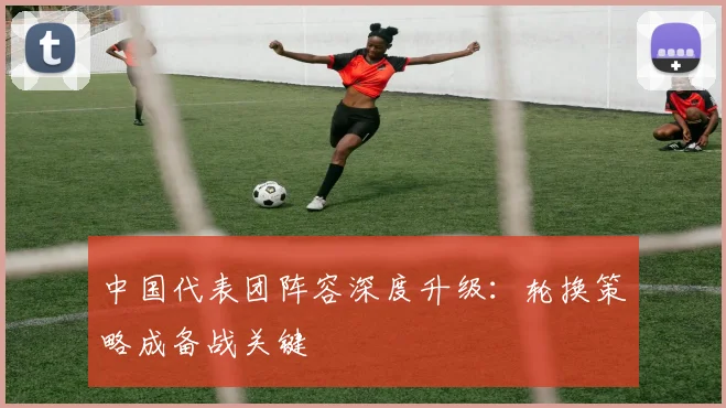 中国代表团阵容深度升级：轮换策略成备战关键